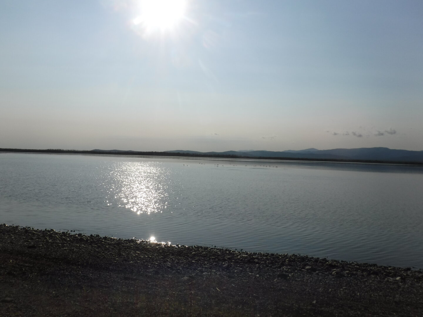 DSCF9391.JPG