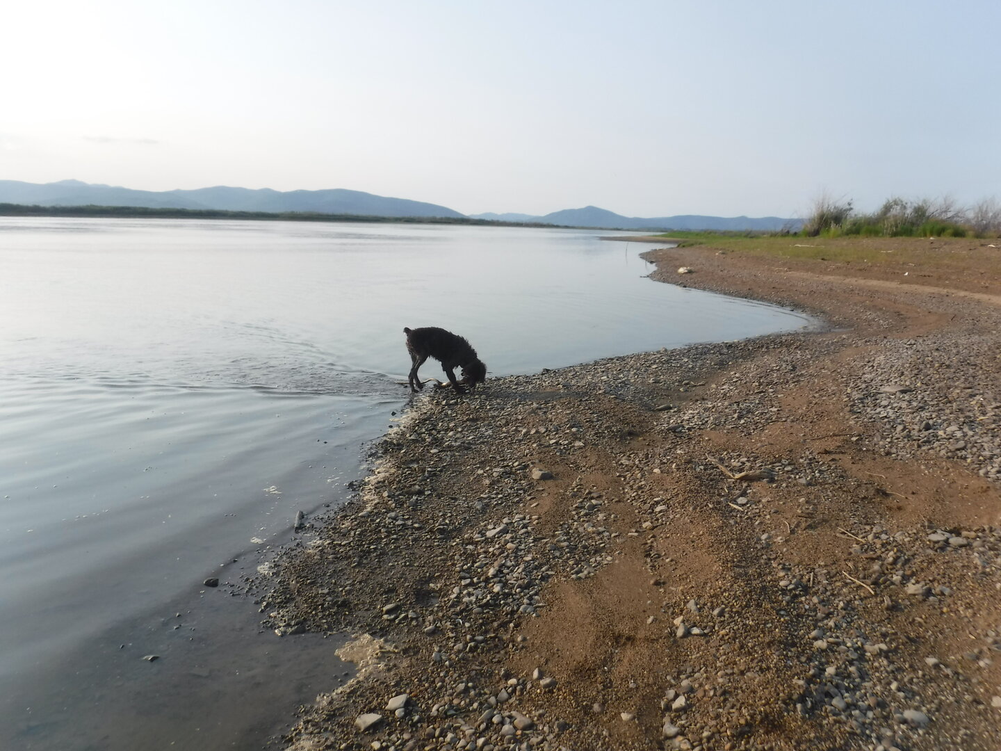 DSCF9396.JPG