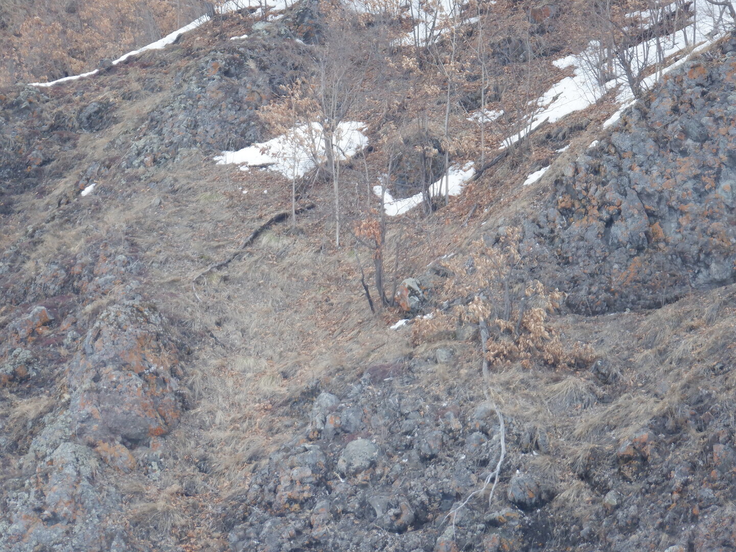 DSCF9407.JPG