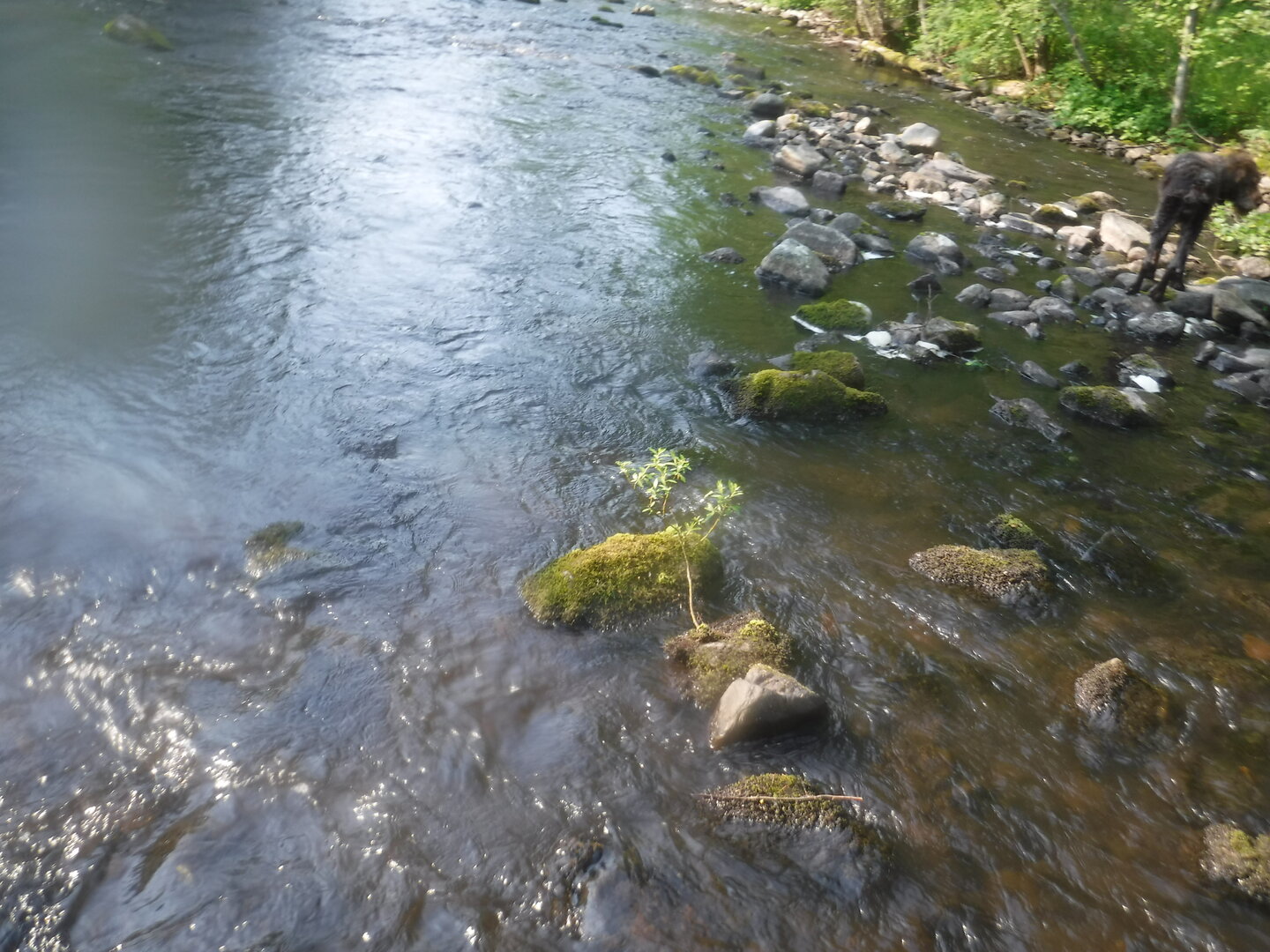 DSCF9413.JPG