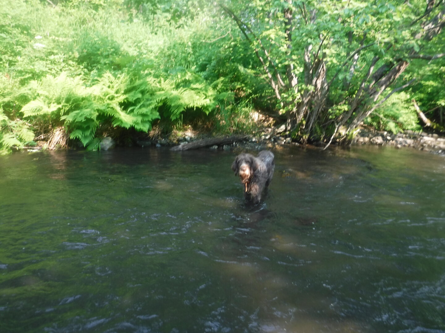 DSCF9417.JPG