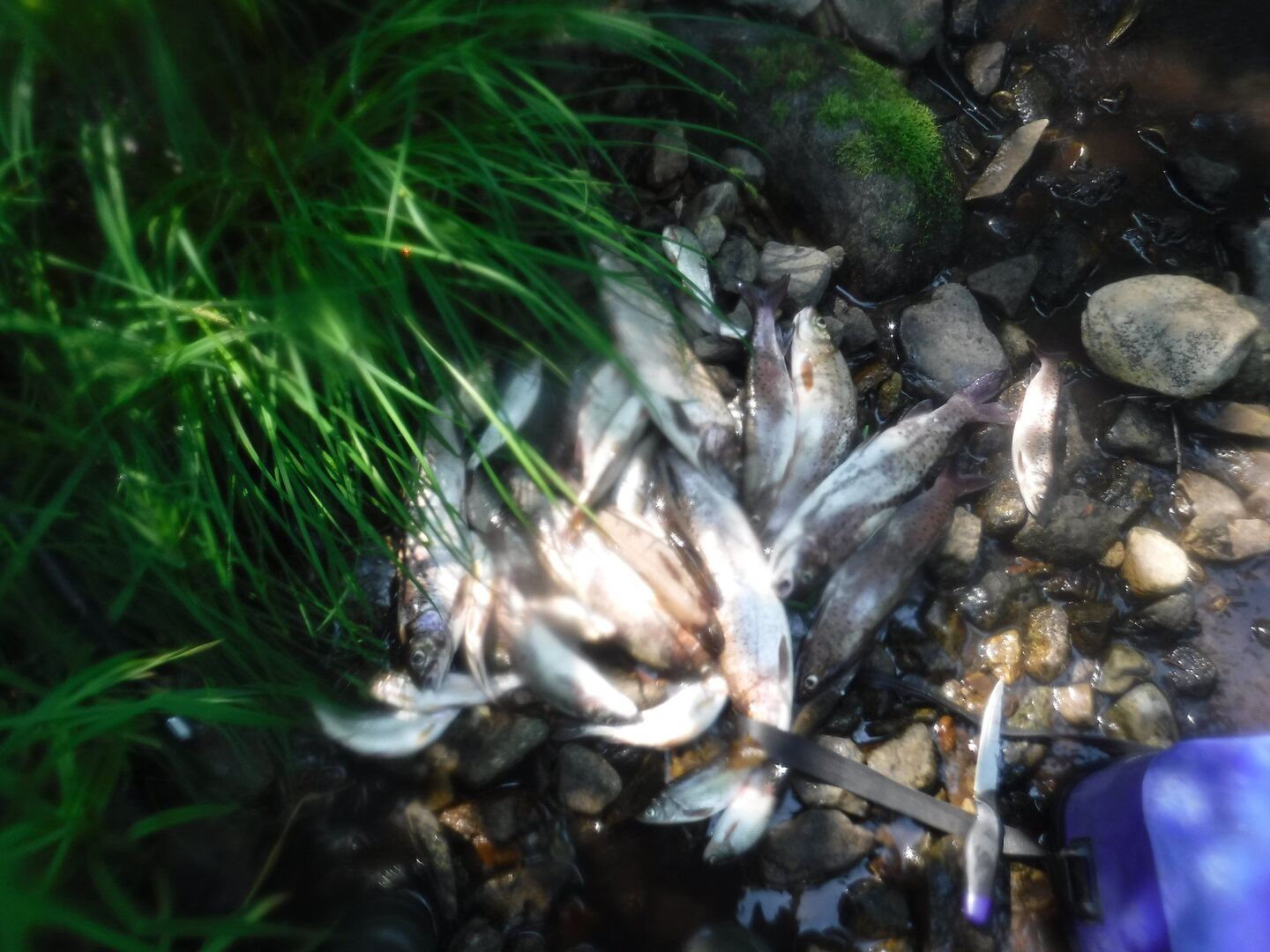 DSCF9423.JPG