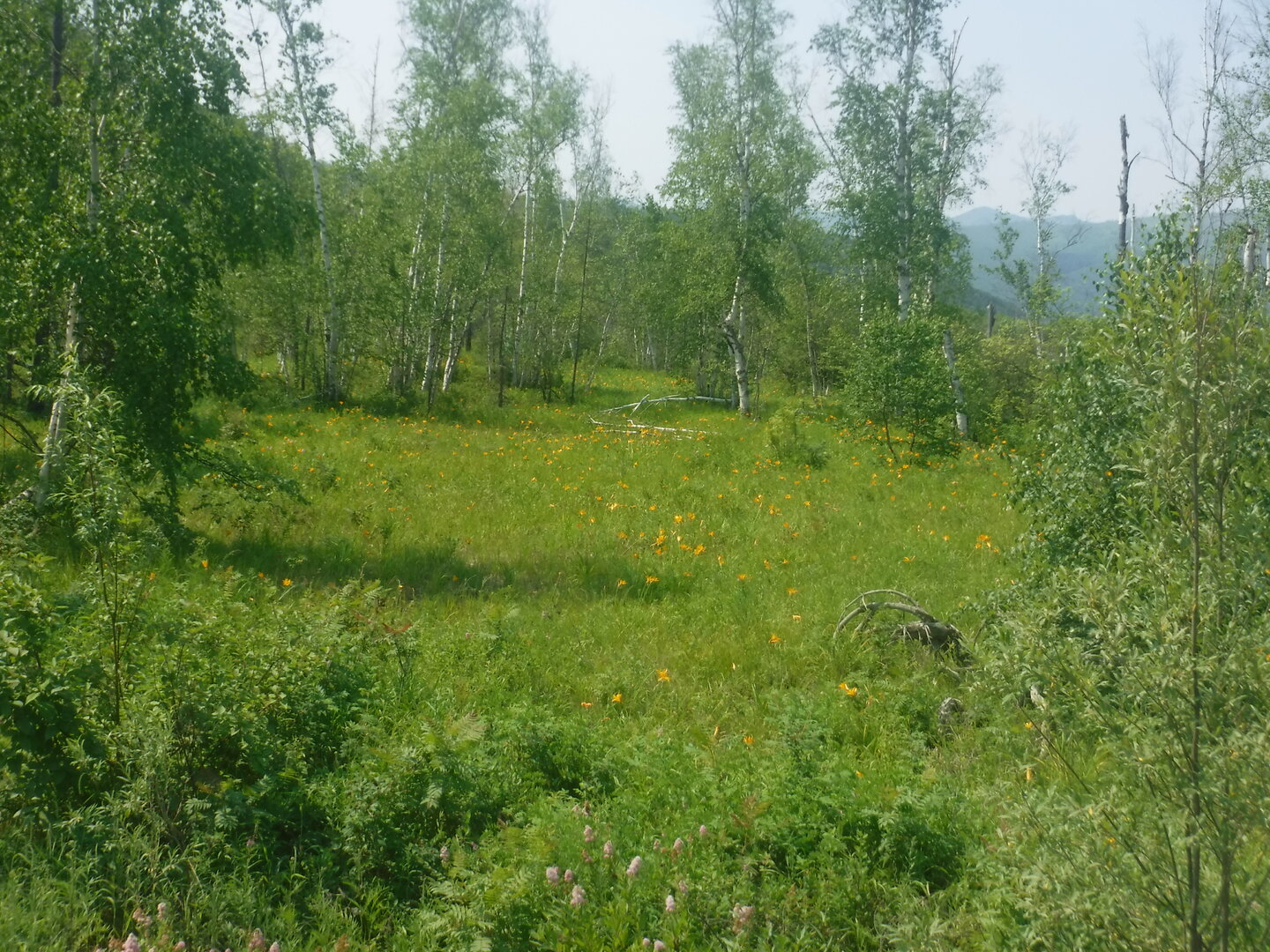 DSCF9427.JPG