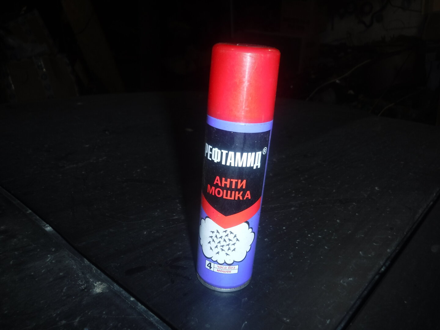 DSCF9428.JPG