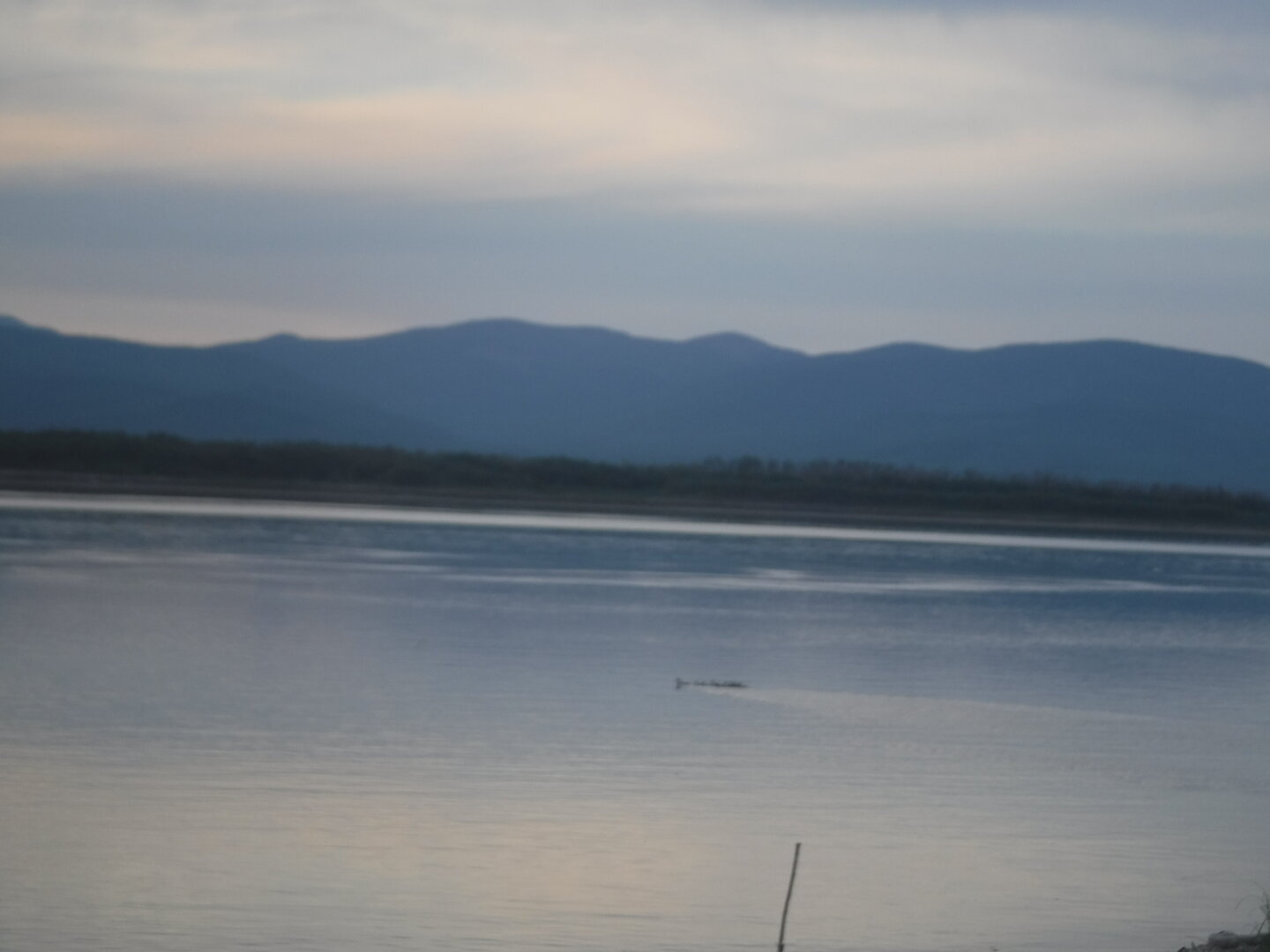 DSCF9448.JPG