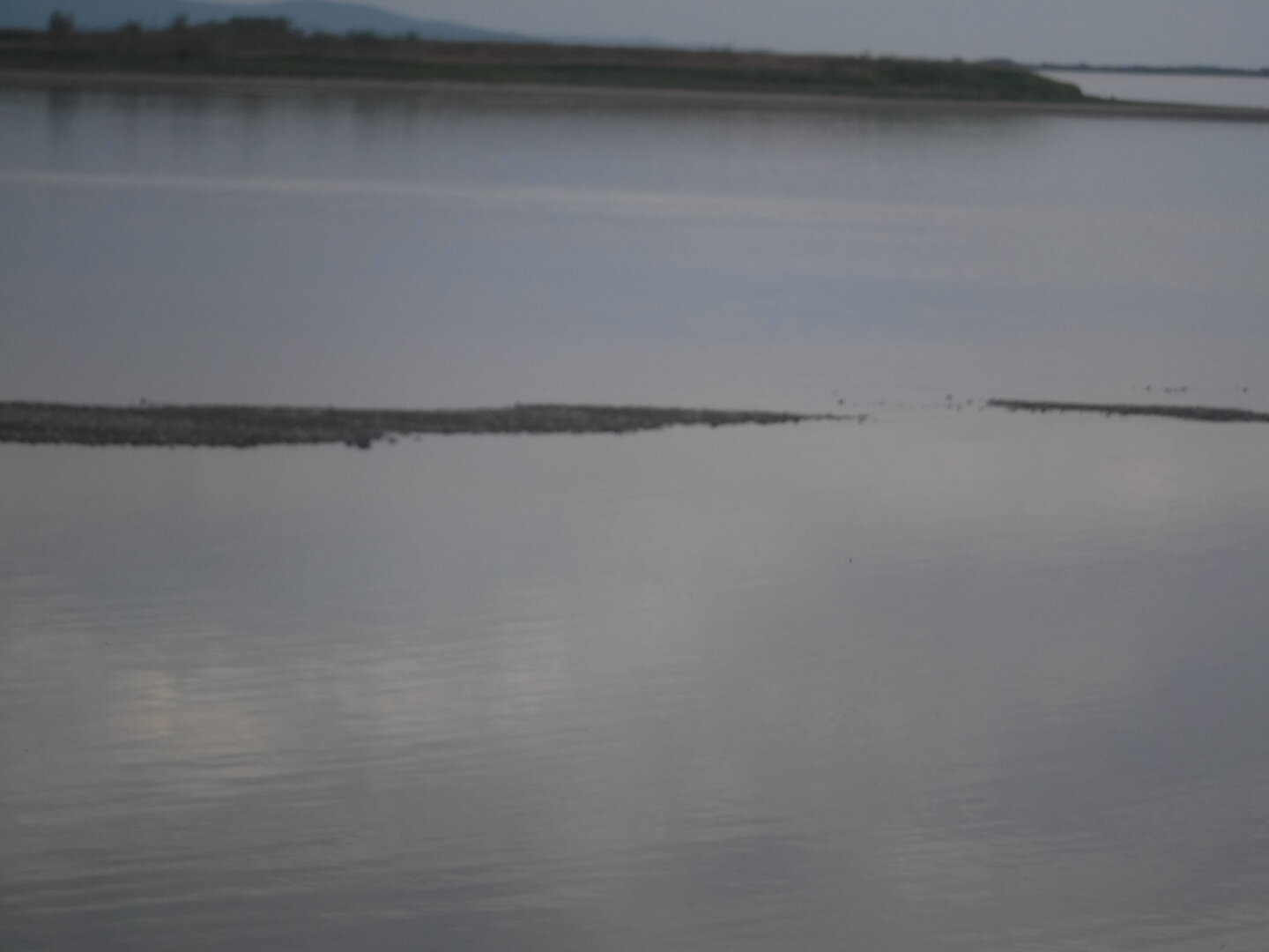 DSCF9449.JPG