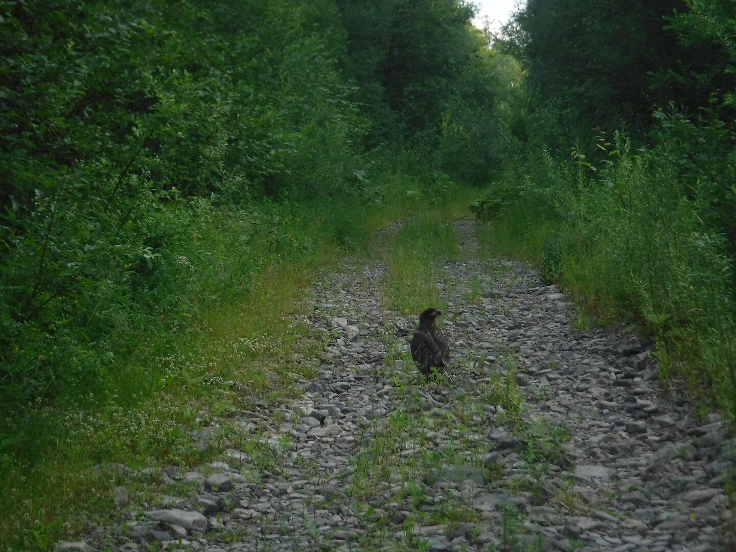 DSCF9455.JPG