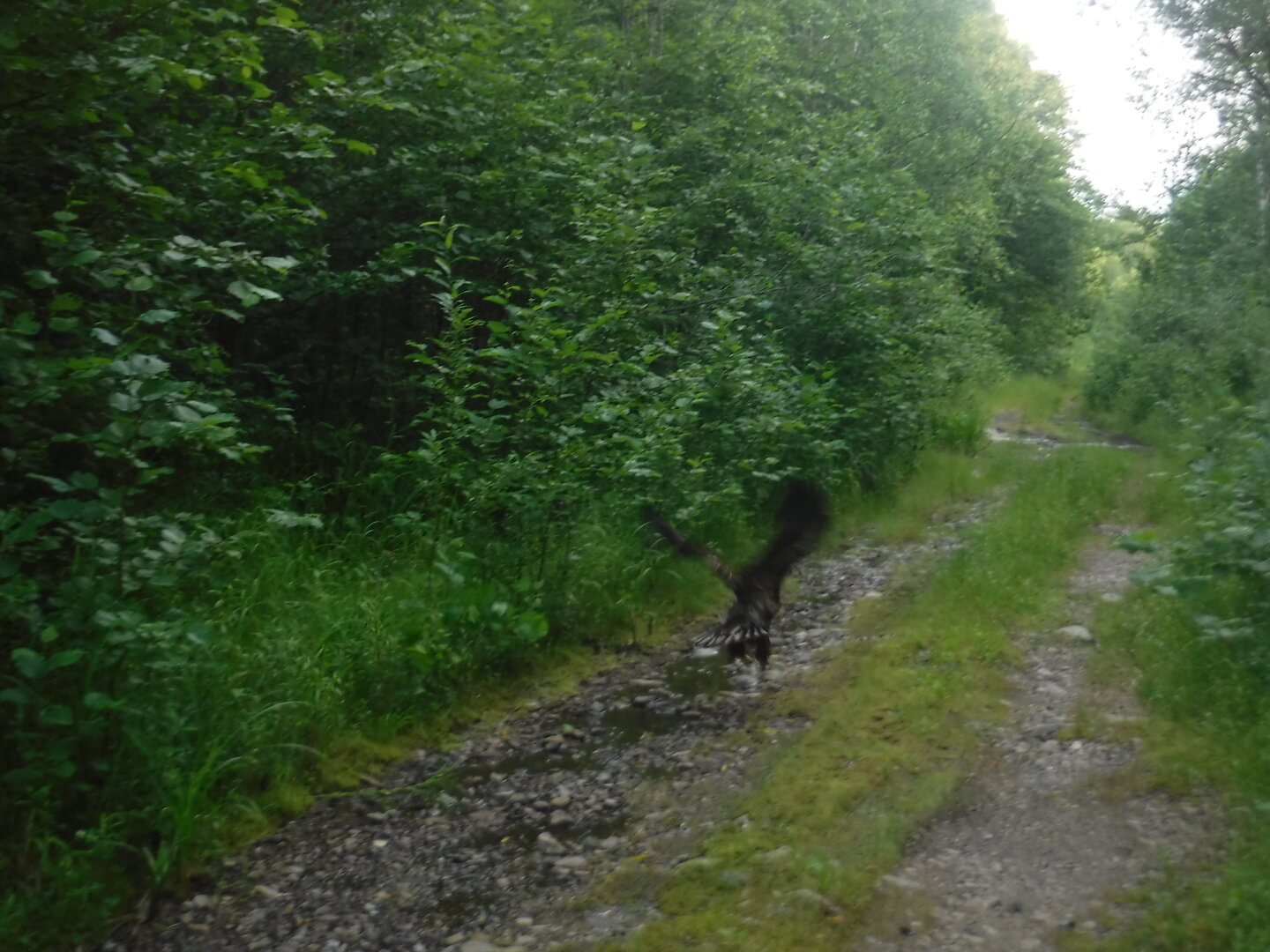 DSCF9456.JPG