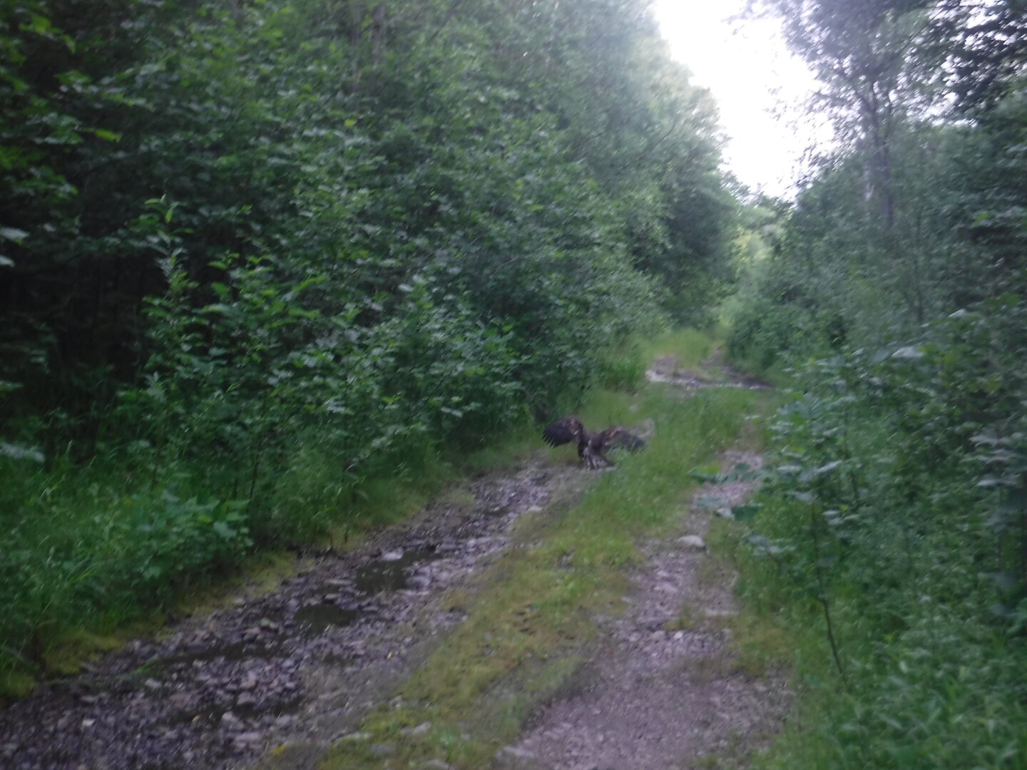 DSCF9457.JPG
