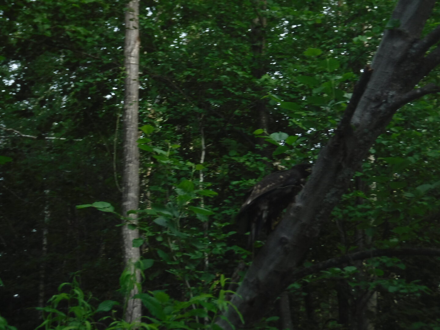 DSCF9458.JPG