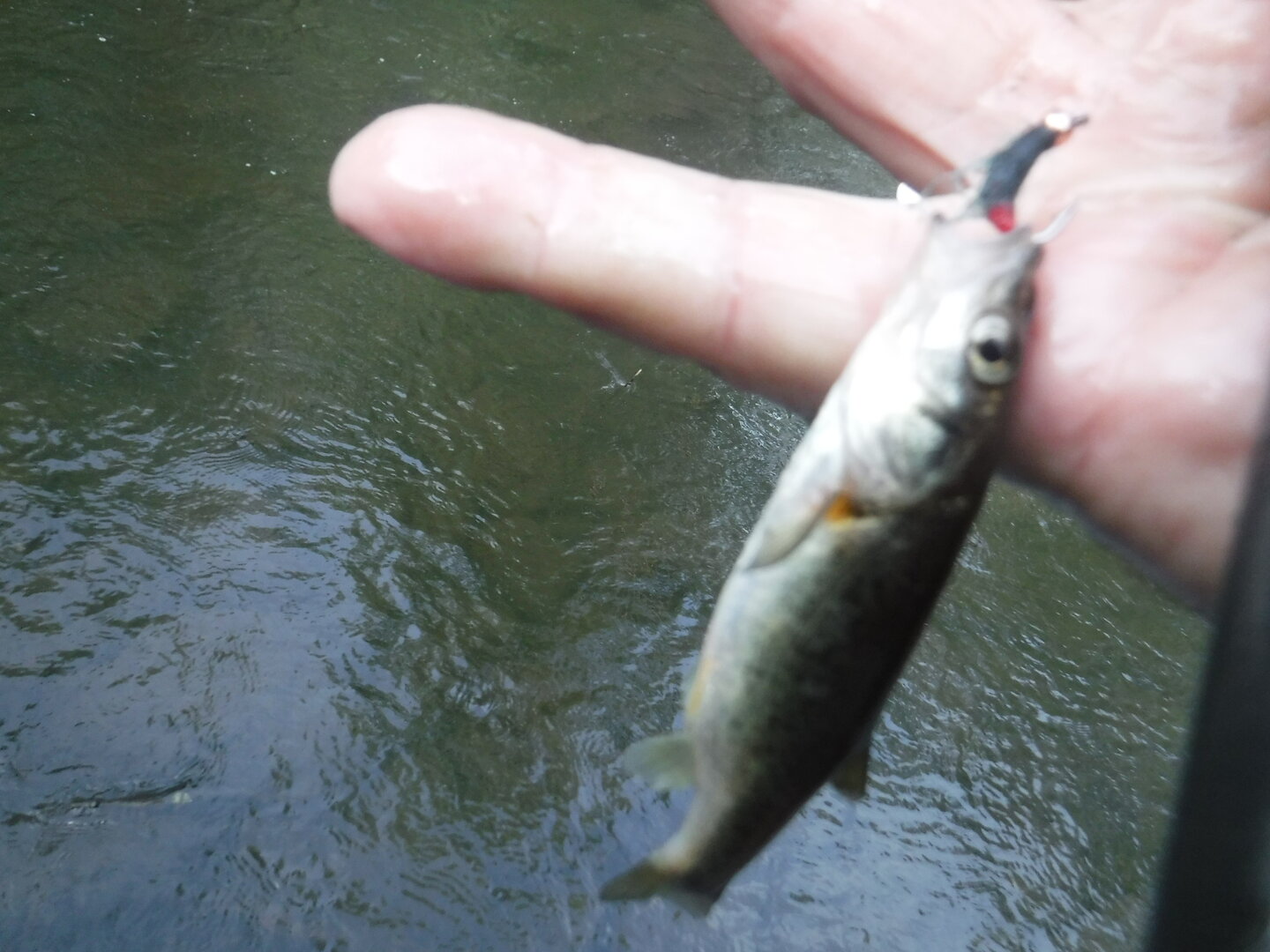 DSCF9466.JPG