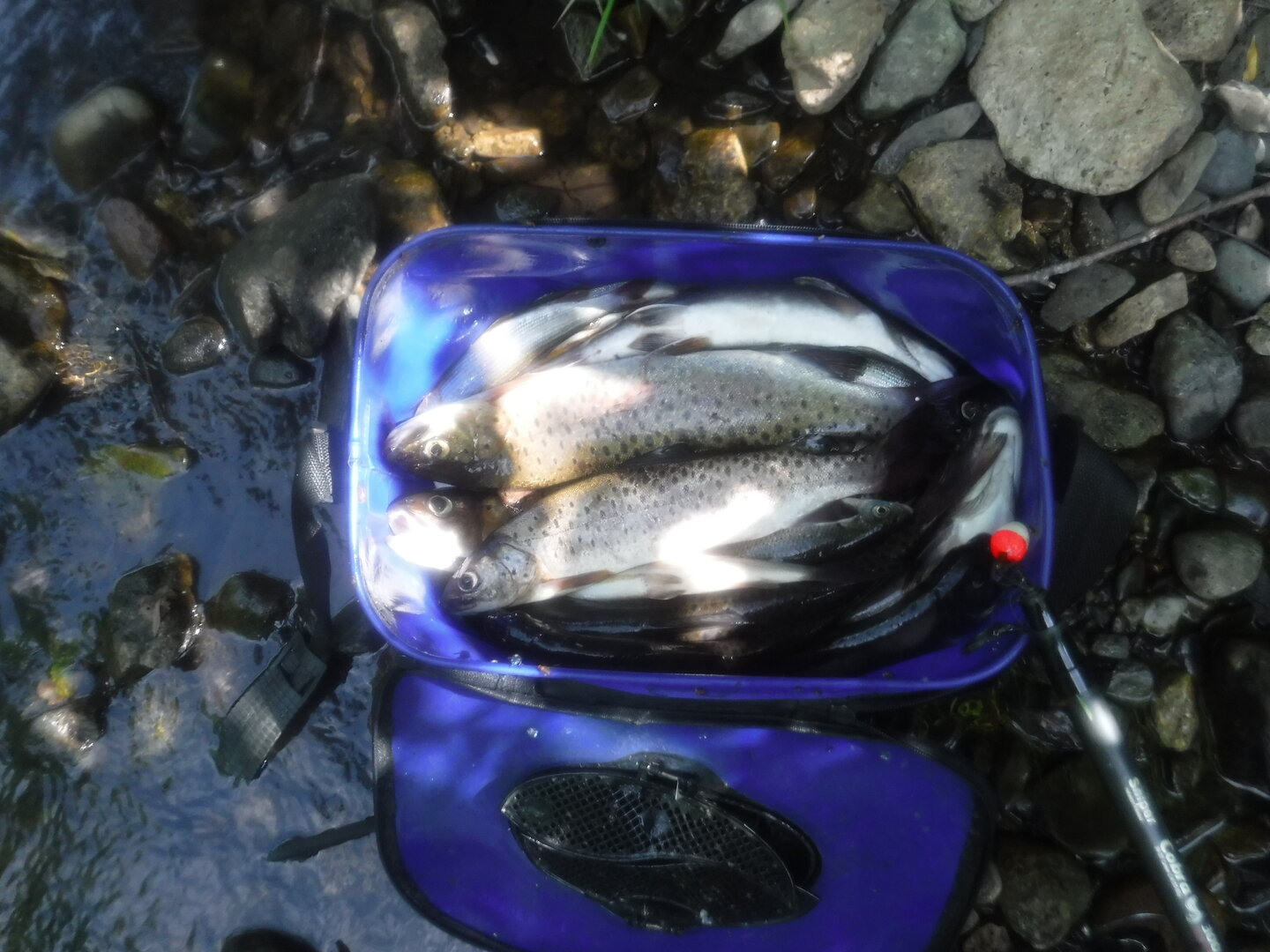 DSCF9469.JPG