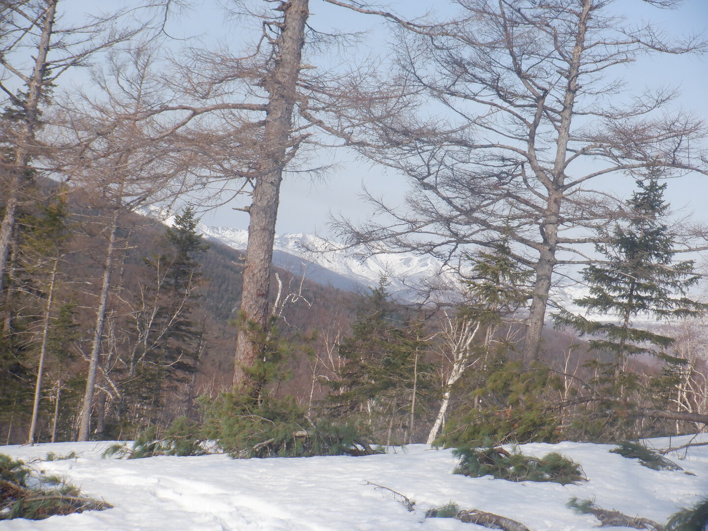 DSCF9476.JPG