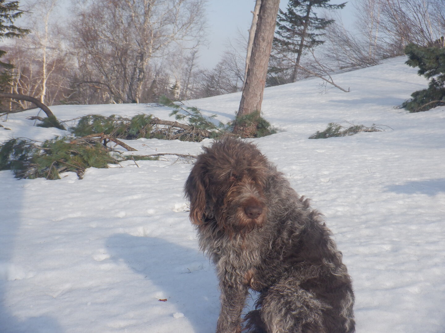 DSCF9477.JPG