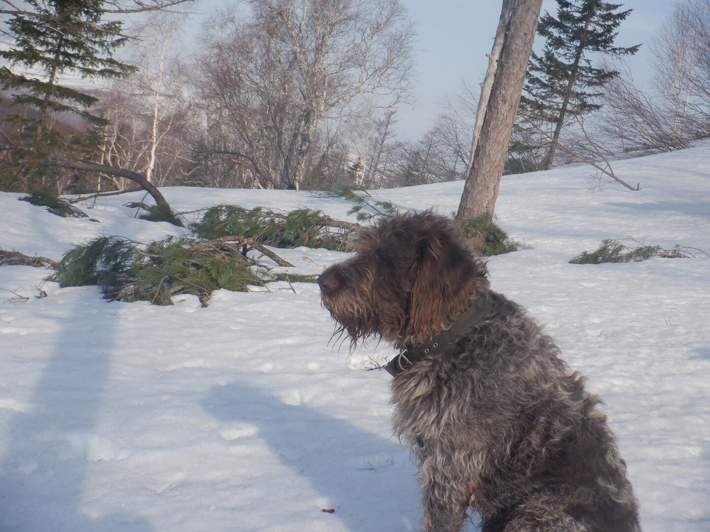 DSCF9478.JPG