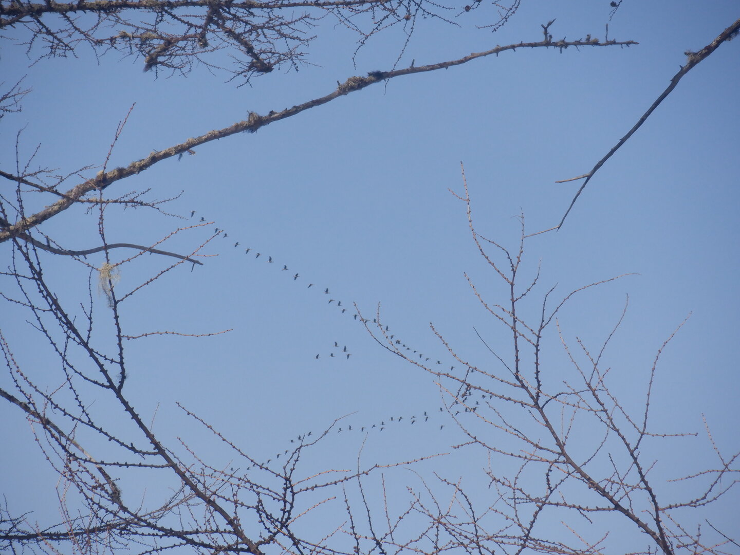 DSCF9482.JPG