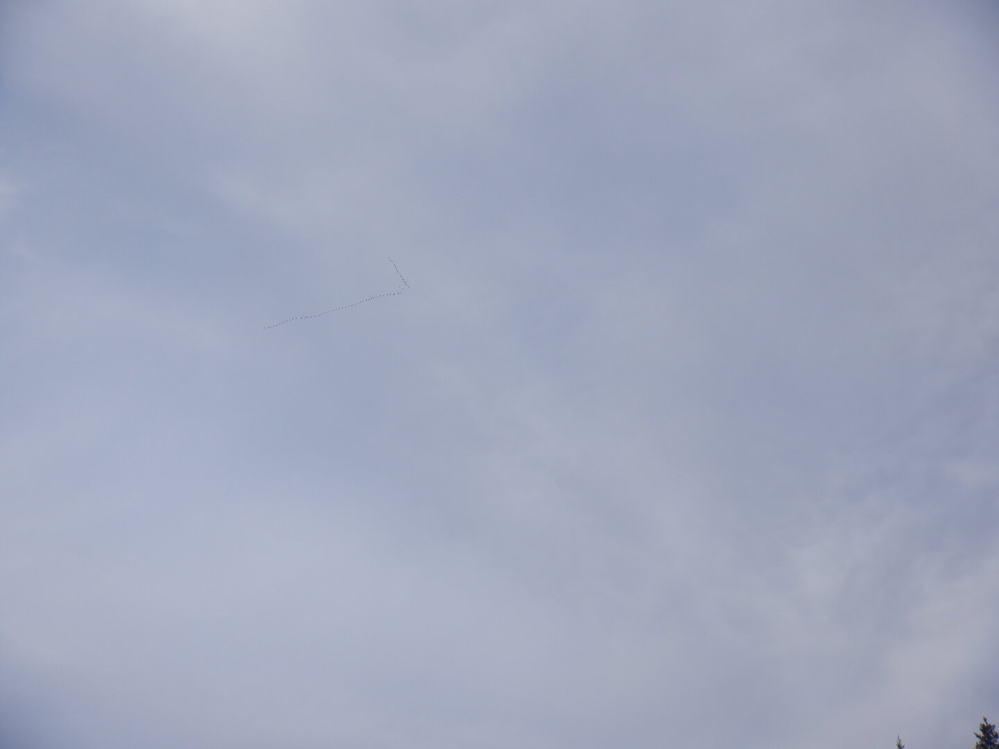 DSCF9486.JPG