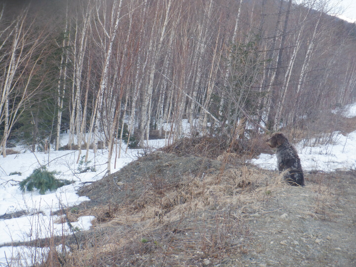 DSCF9489.JPG