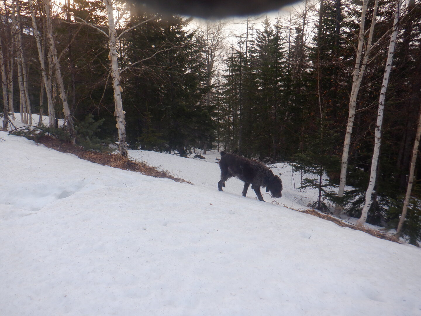 DSCF9494.JPG