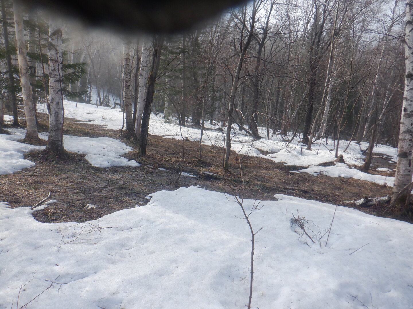 DSCF9498.JPG