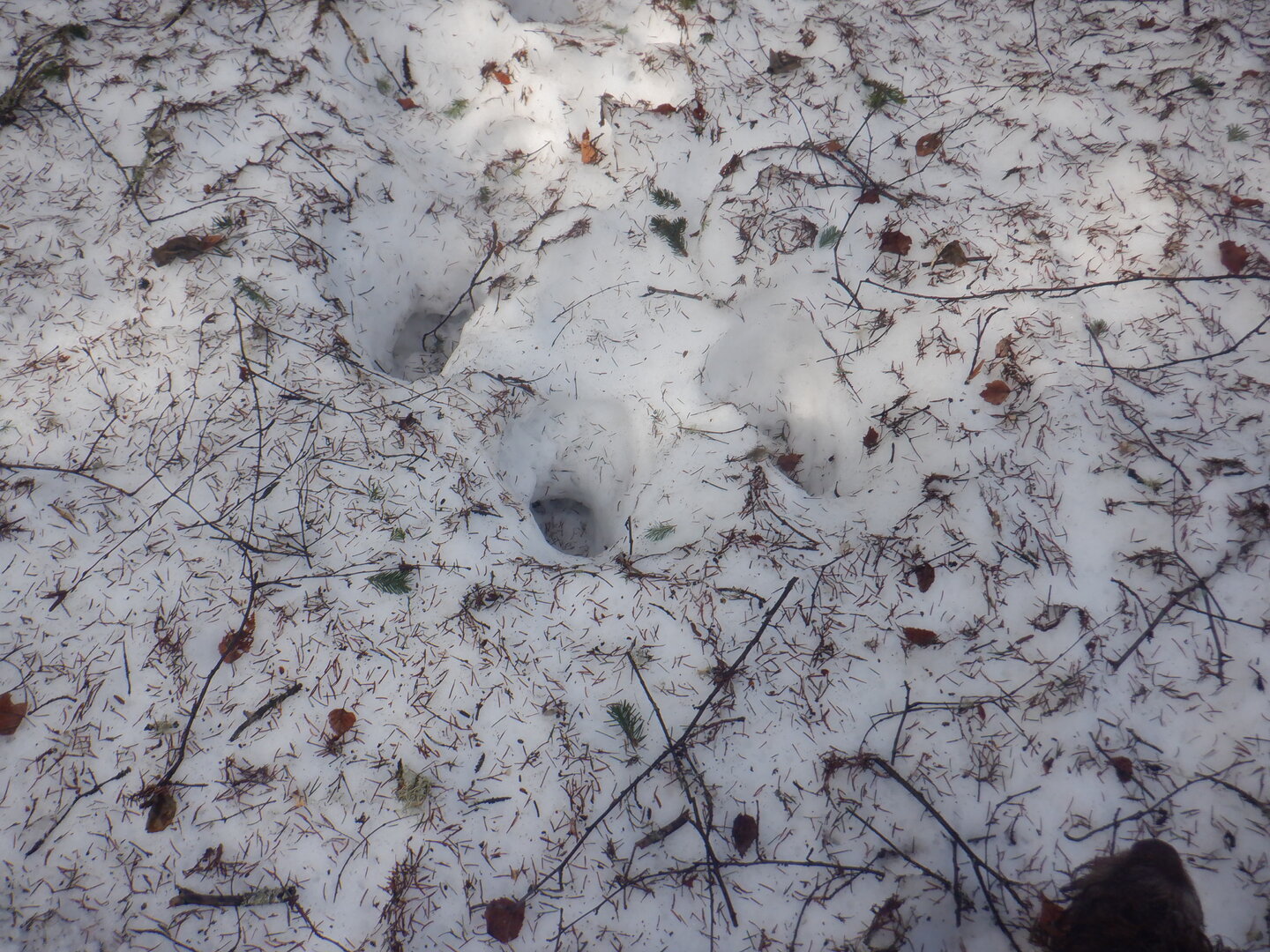 DSCF9502.JPG