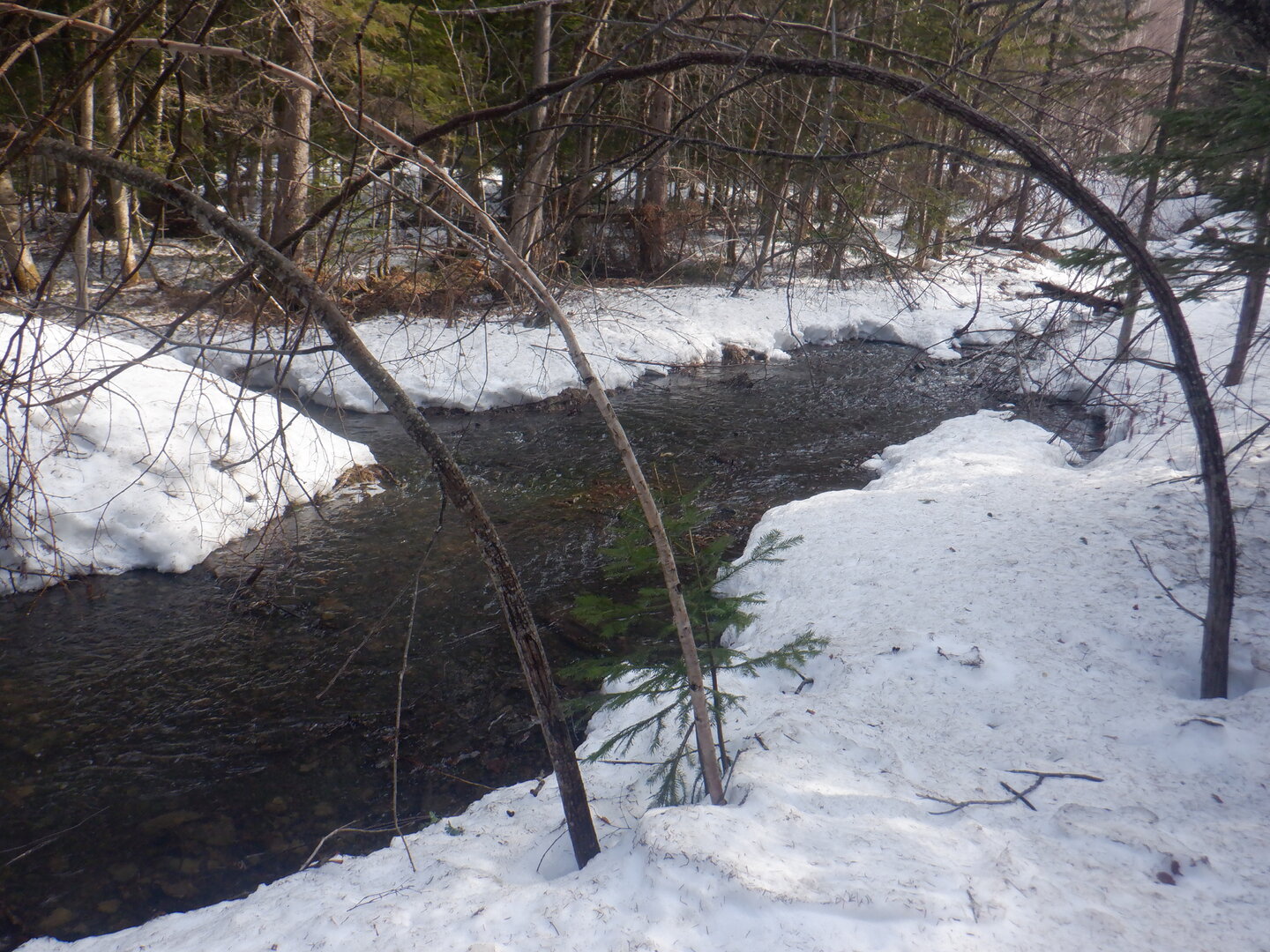 DSCF9503.JPG
