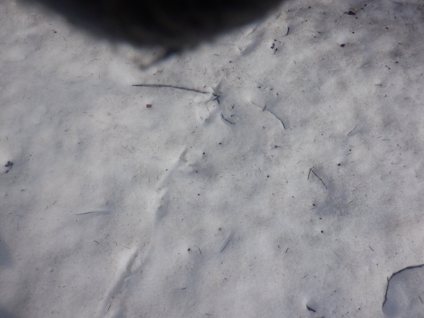 DSCF9505.JPG