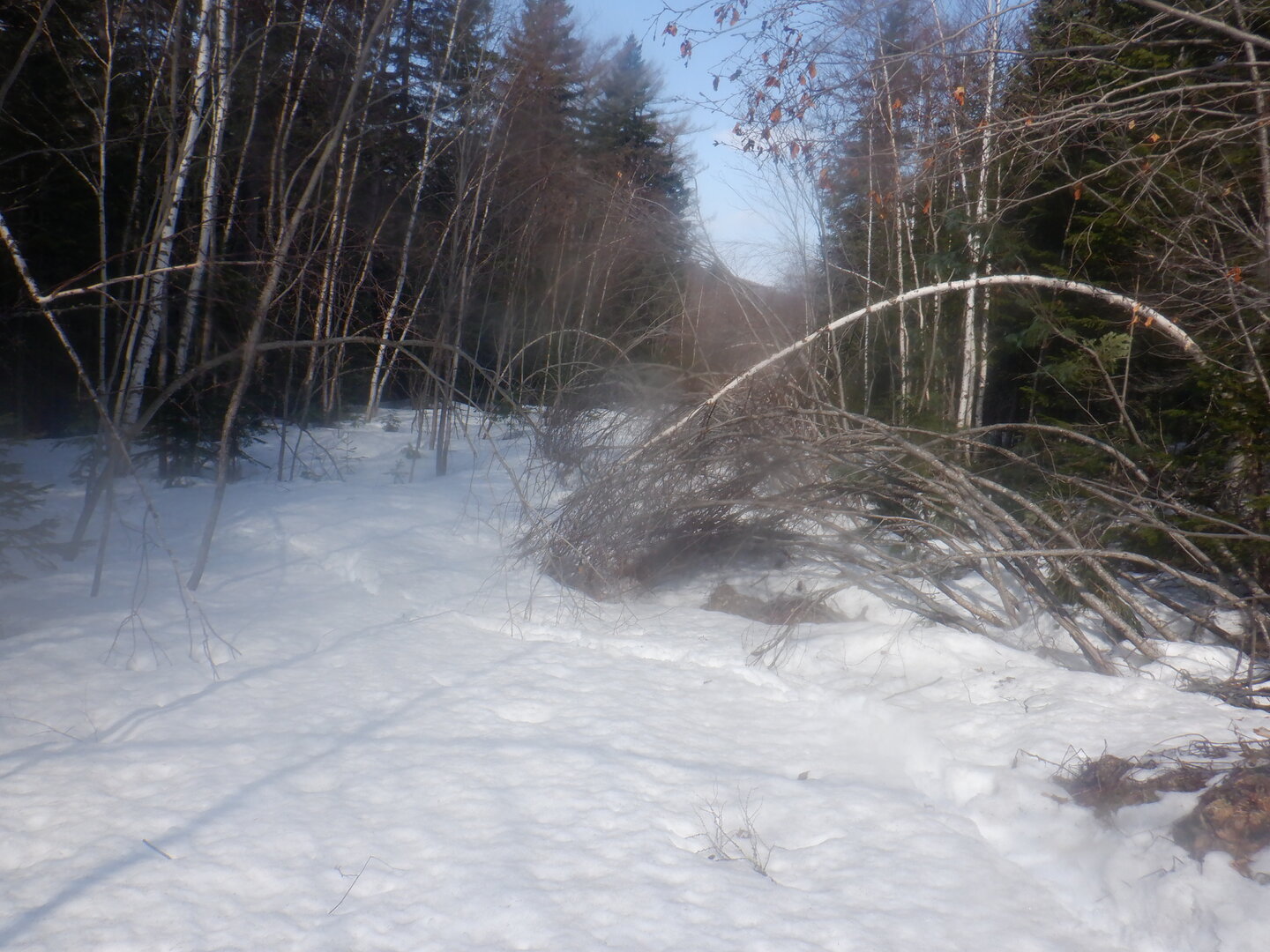 DSCF9506.JPG