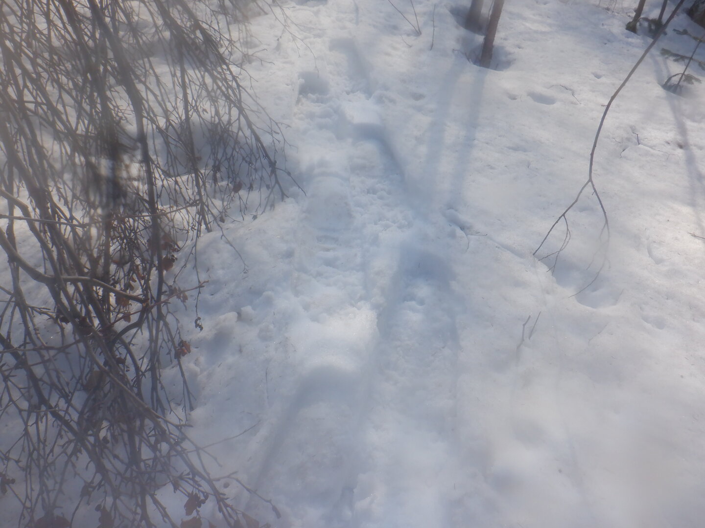 DSCF9507.JPG