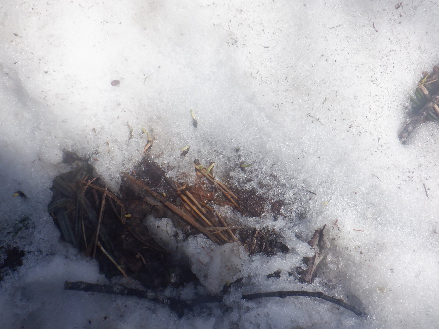 DSCF9508.JPG