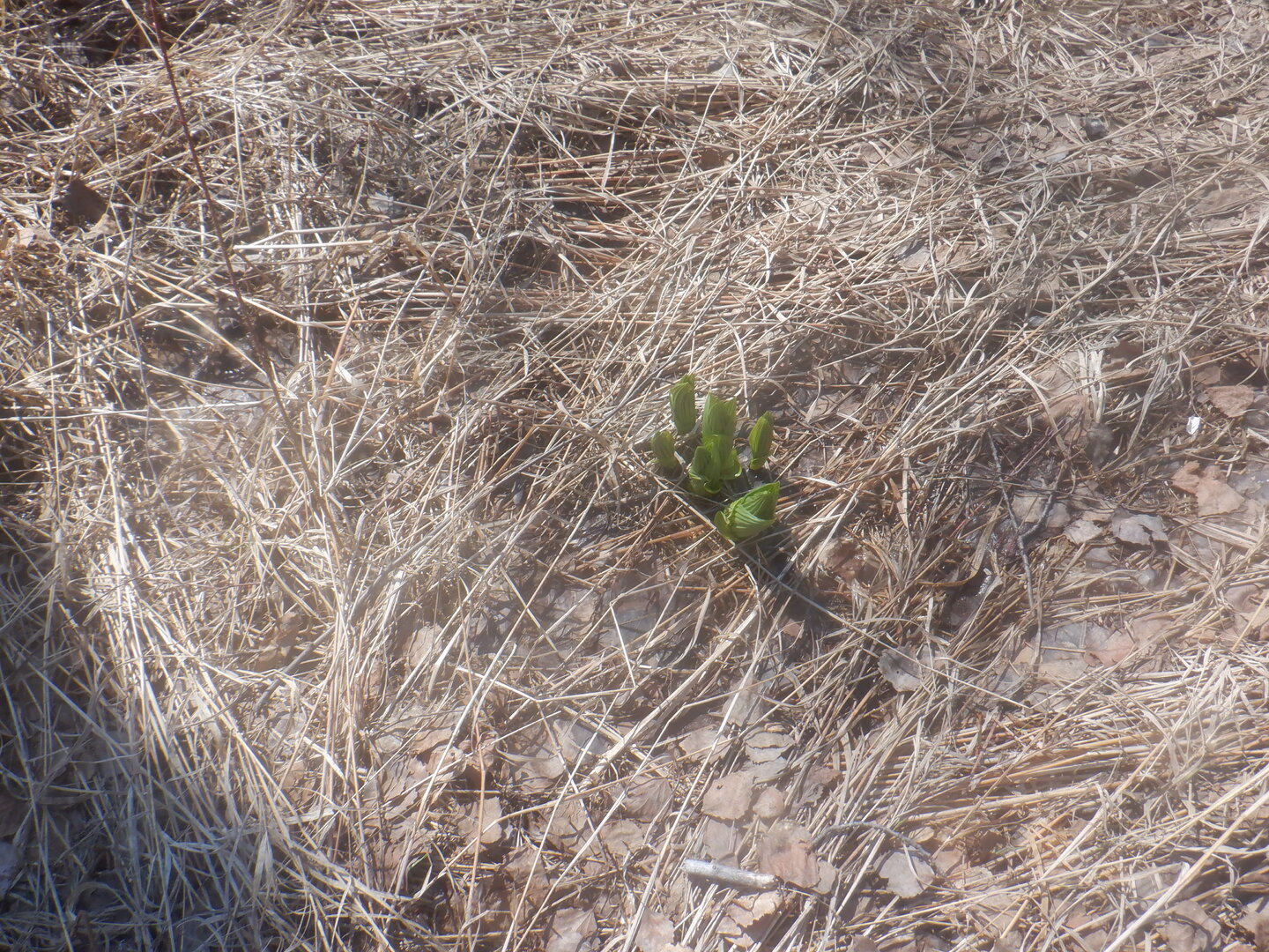 DSCF9509.JPG