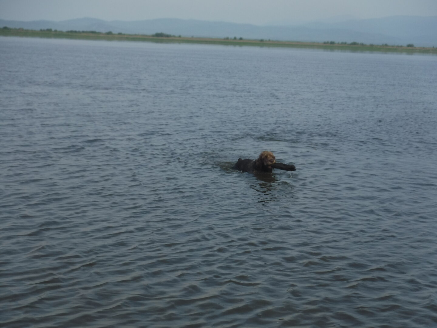 DSCF9509.JPG