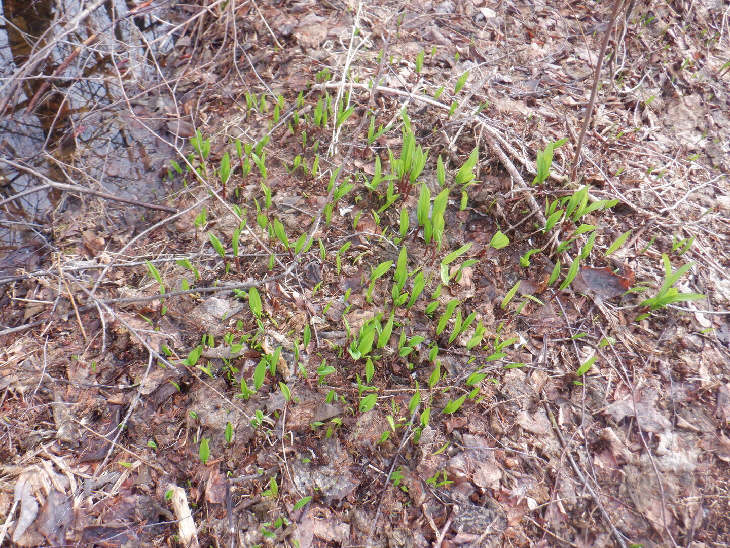DSCF9514.JPG