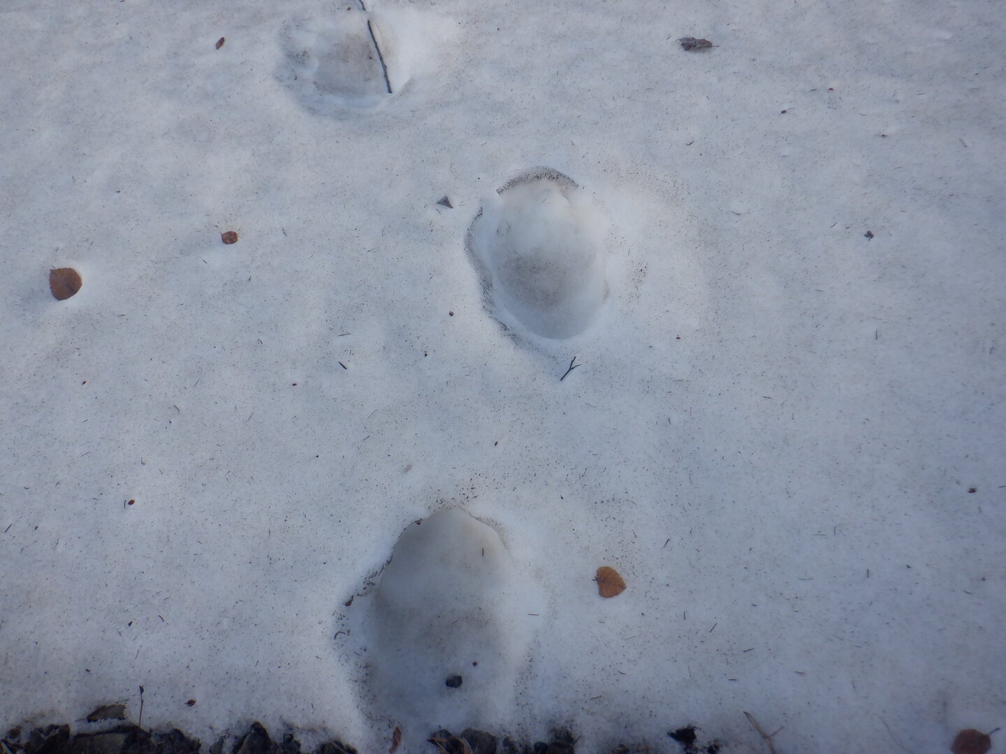 DSCF9516.JPG