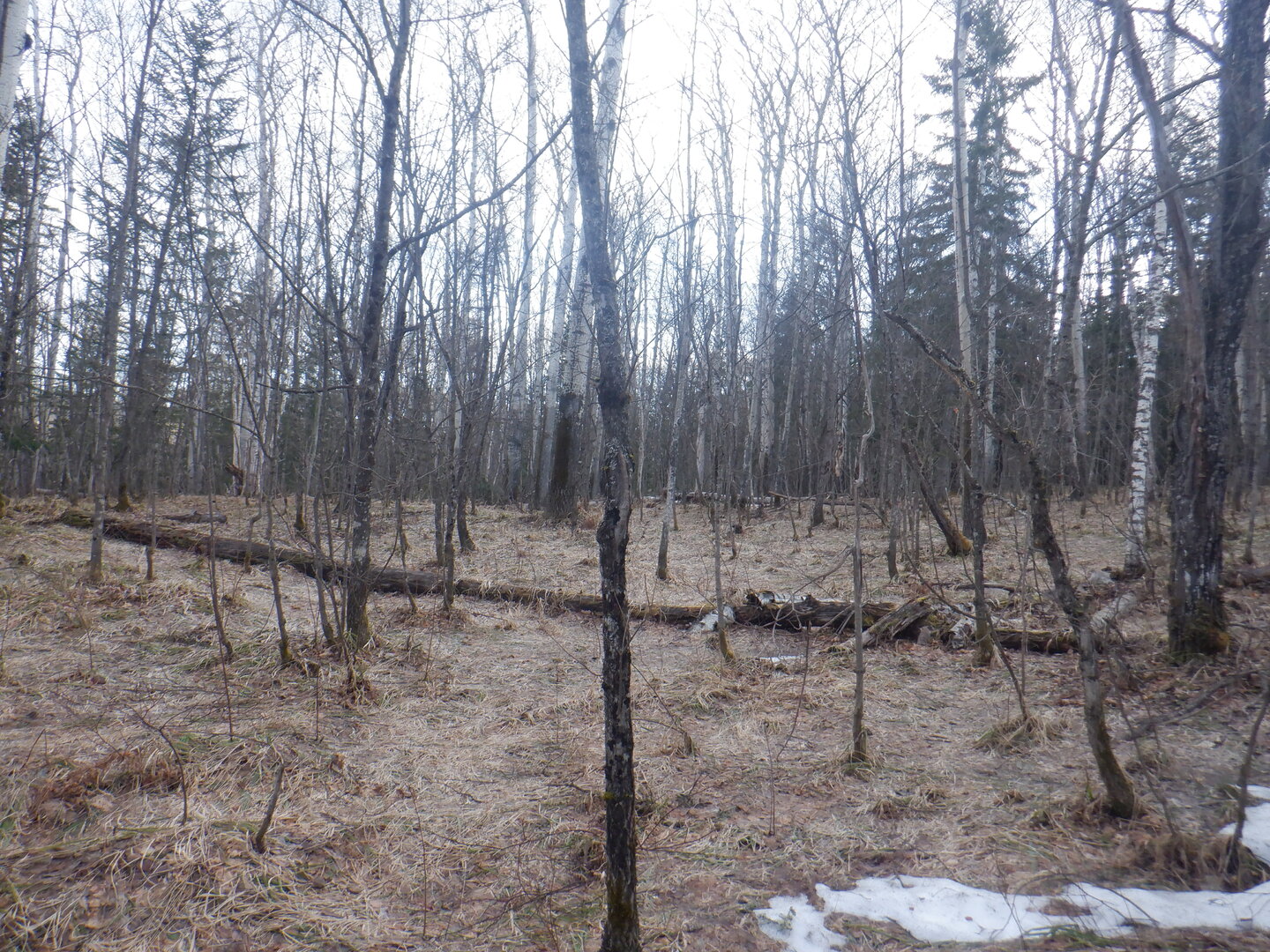 DSCF9518.JPG