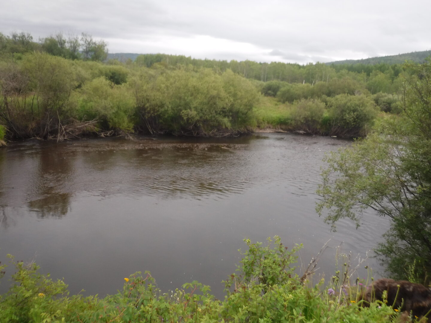 DSCF9526.JPG