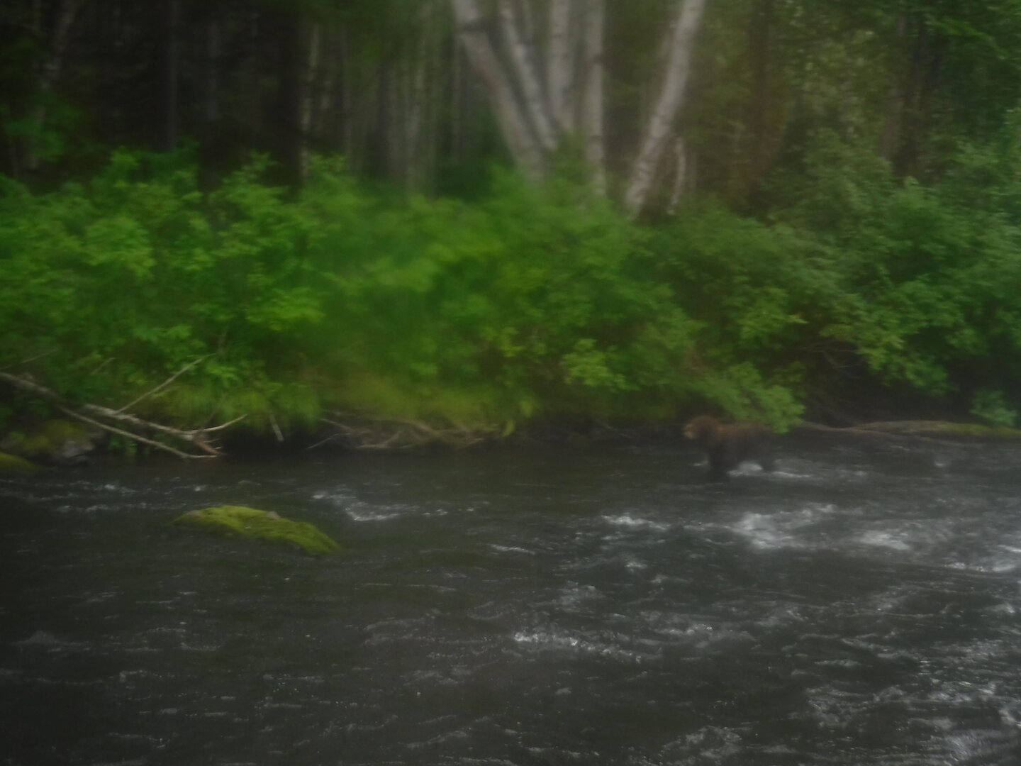 DSCF9531.JPG