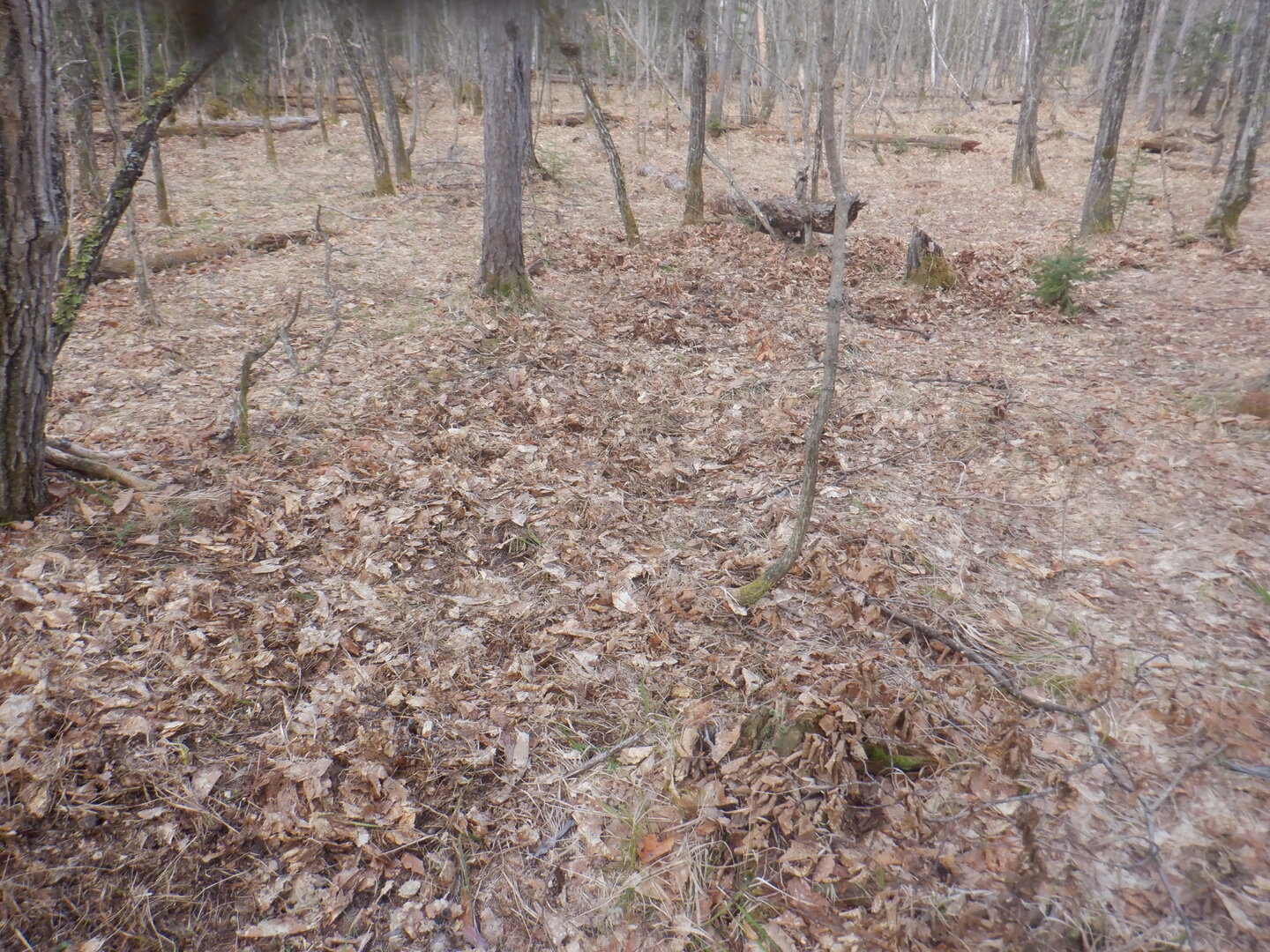 DSCF9534.JPG