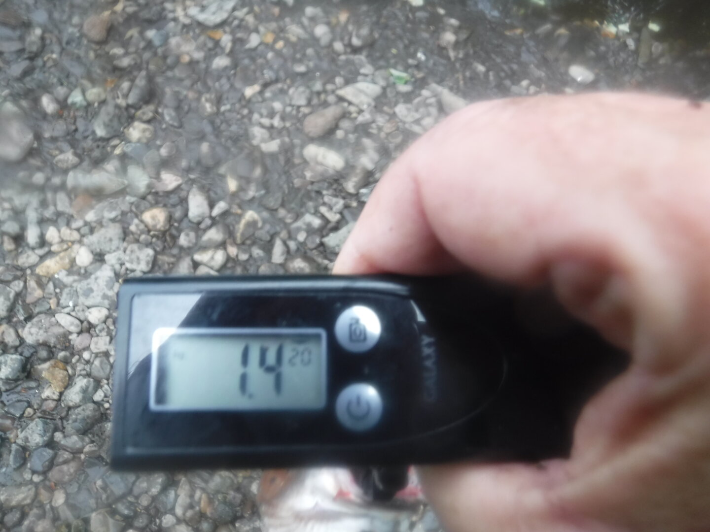 DSCF9537.JPG