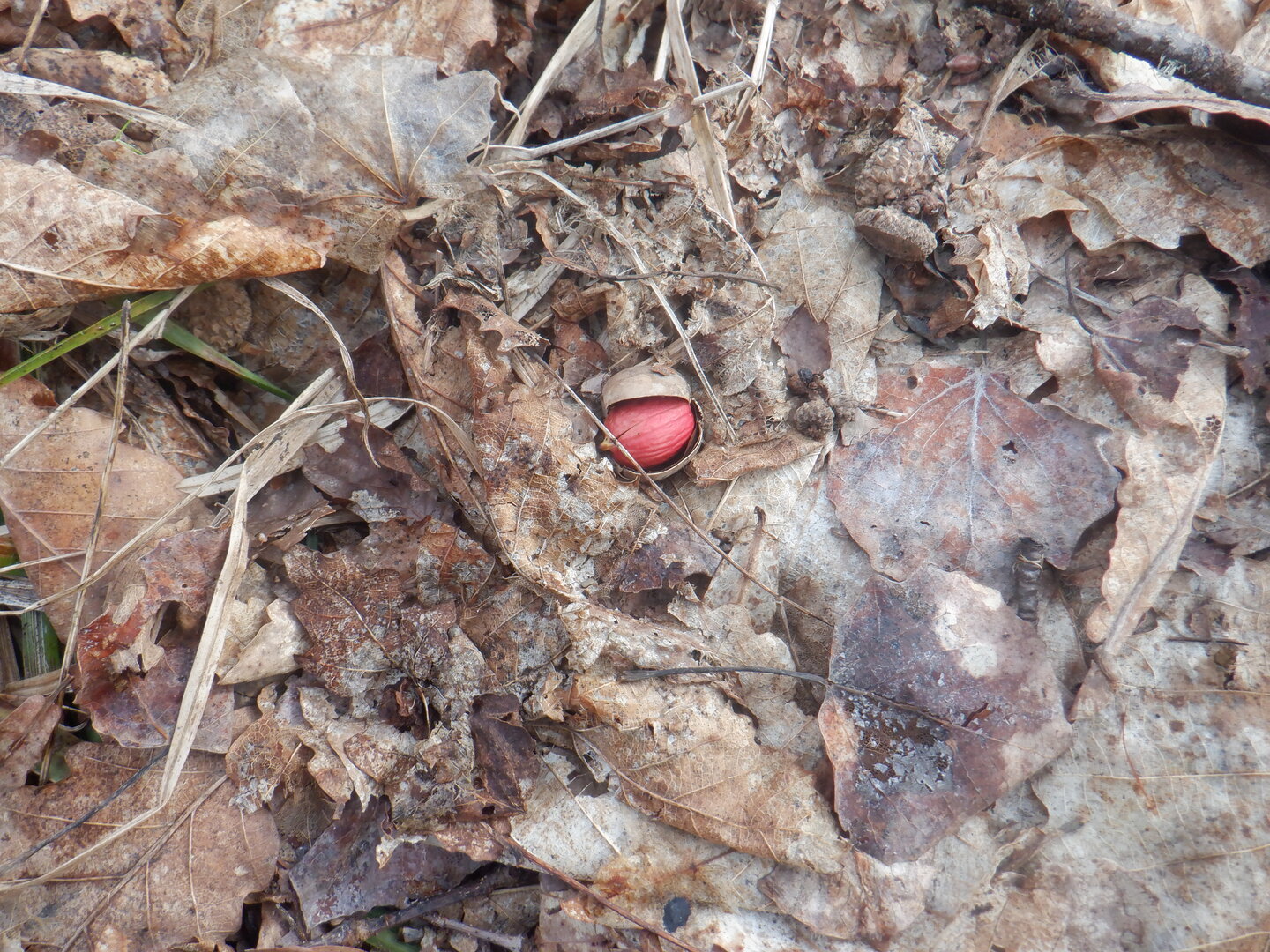 DSCF9540.JPG