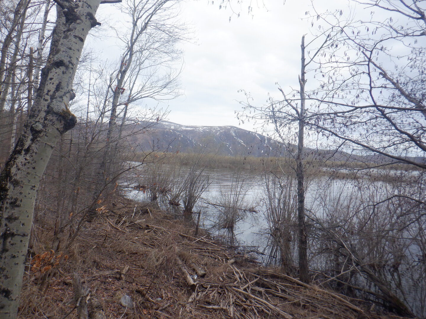 DSCF9544.JPG