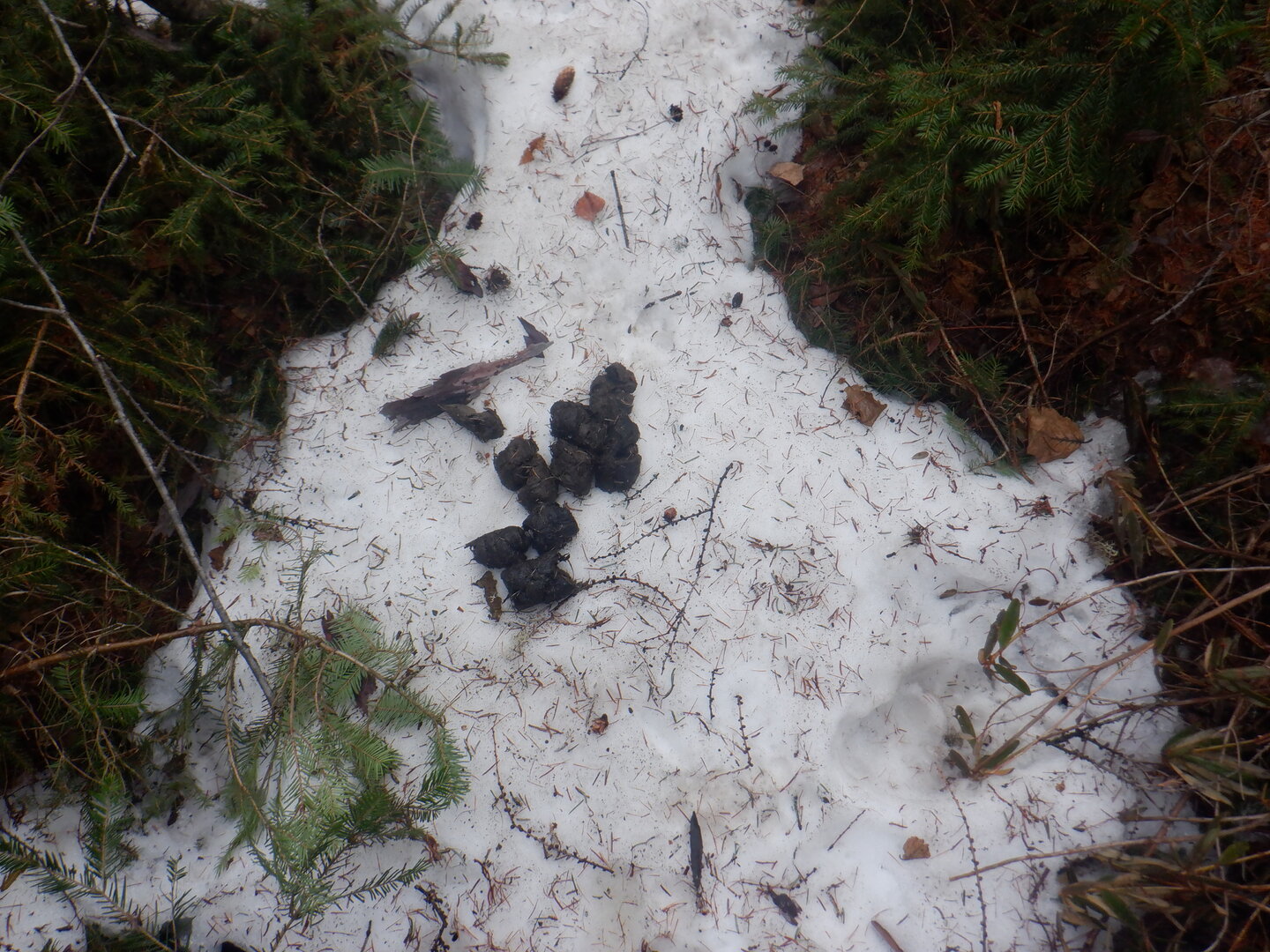 DSCF9548.JPG