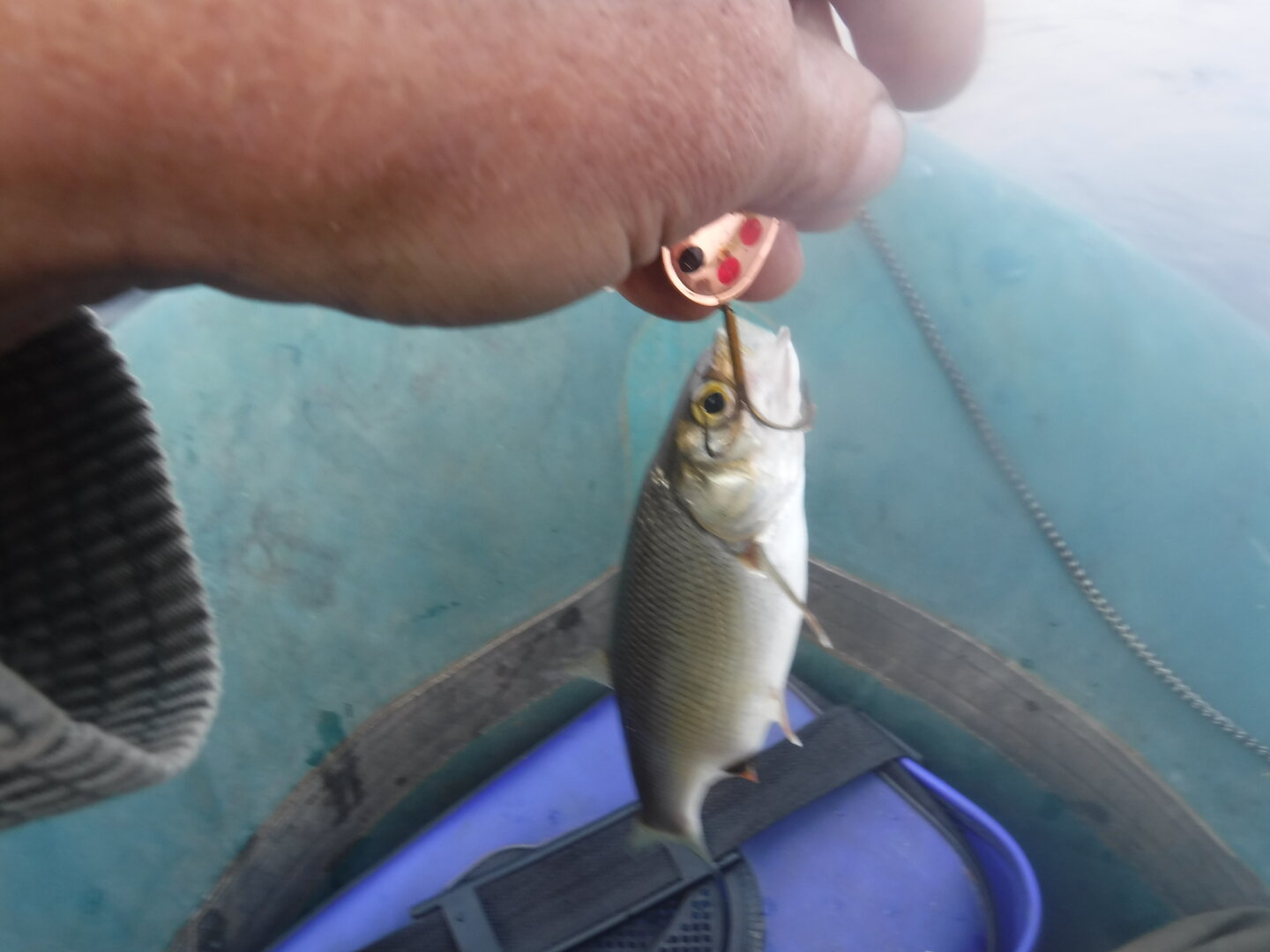 DSCF9548.JPG