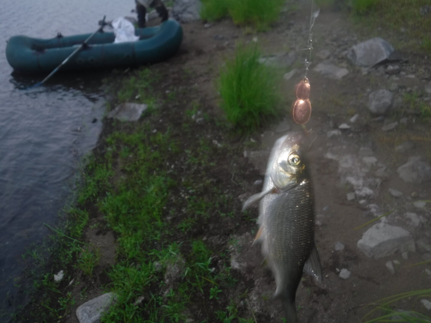 DSCF9549.JPG