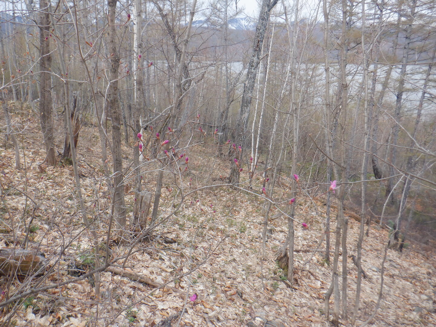 DSCF9552.JPG