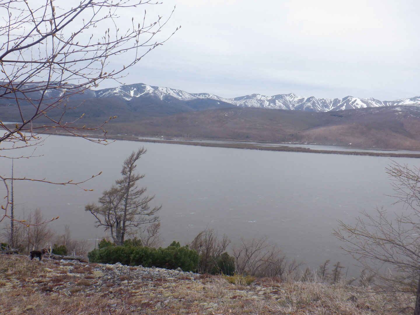 DSCF9558.JPG