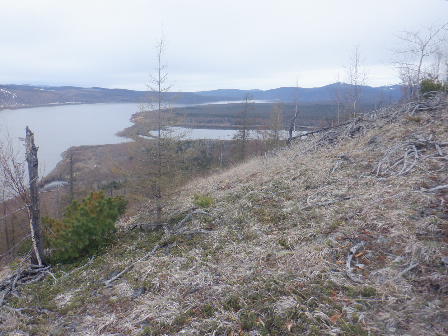 DSCF9559.JPG