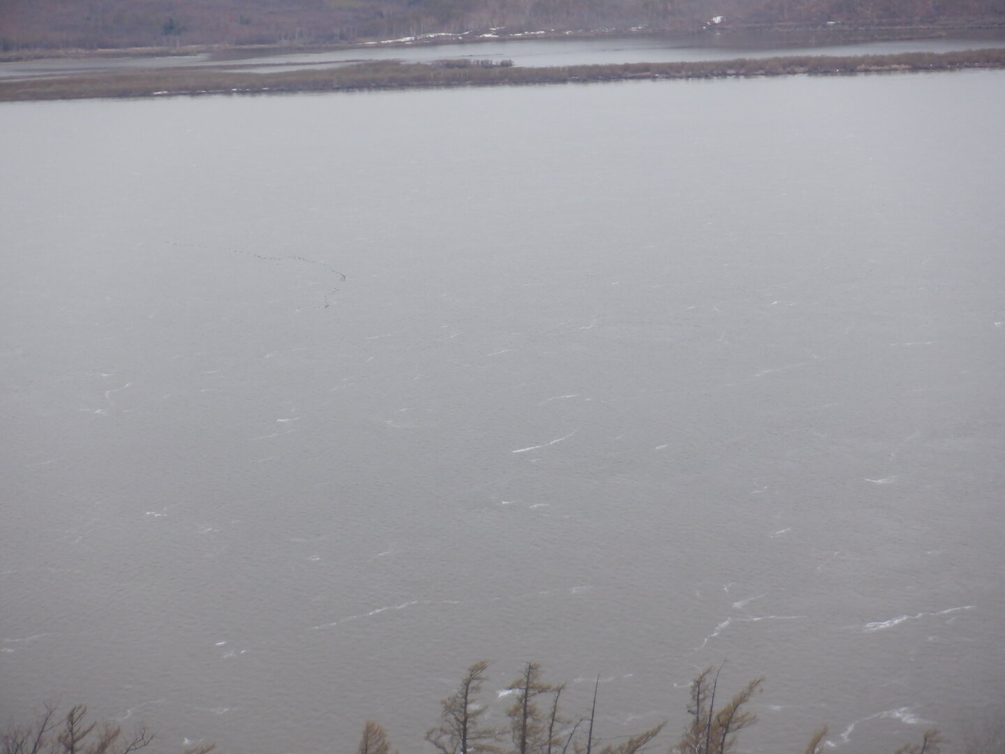 DSCF9565.JPG