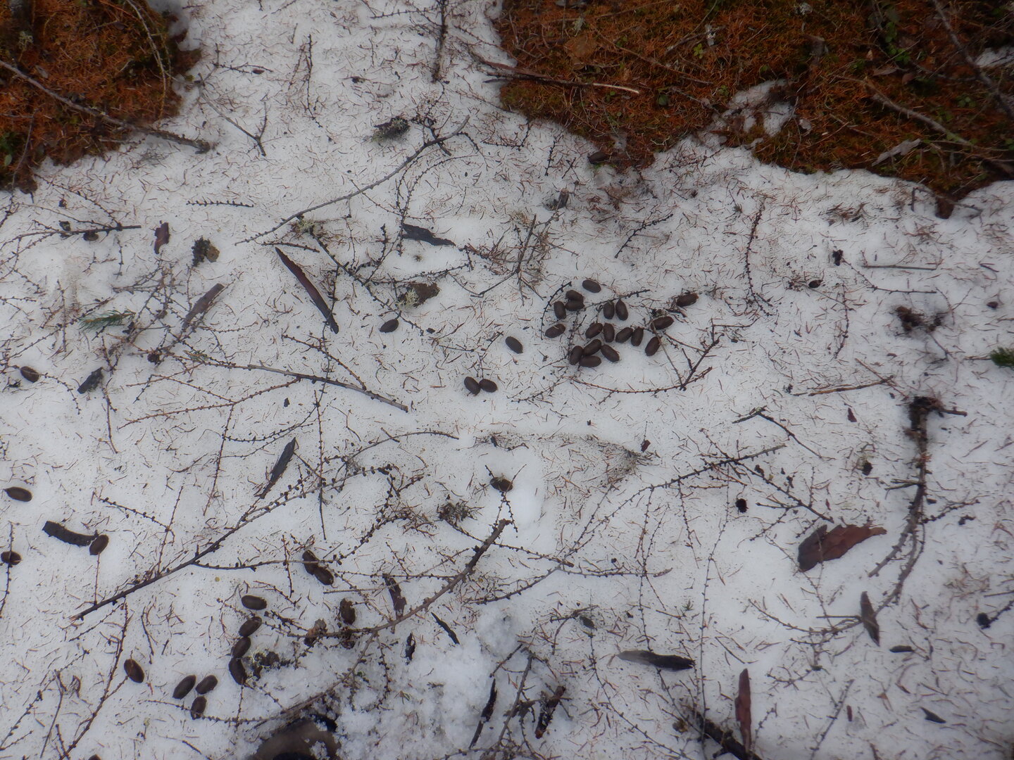 DSCF9570.JPG