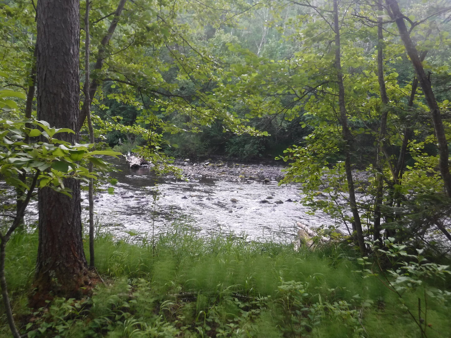 DSCF9572.JPG
